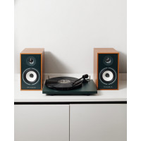 Play Vinyl (Lunar 1 + Borea BR02 Connect) - Oak Green