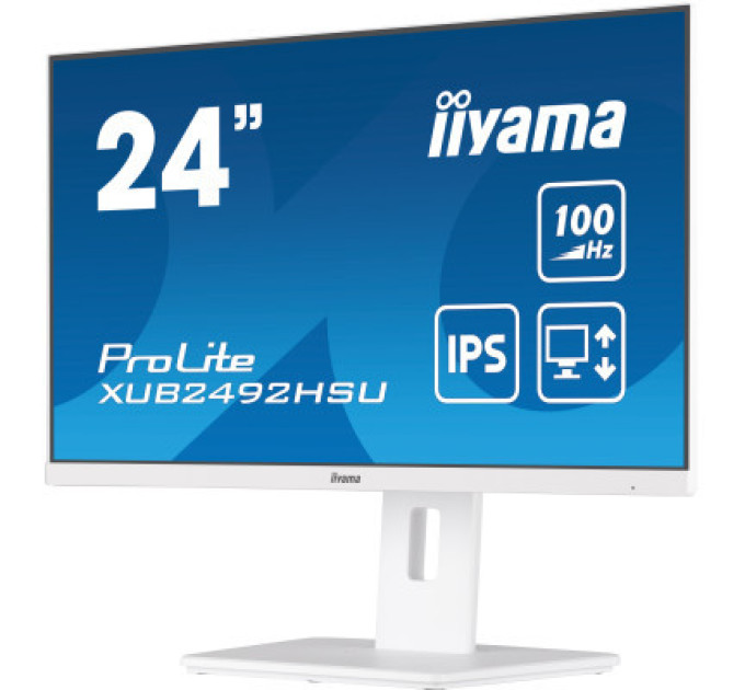 Монитор iiyama XUB2492HSU-W6