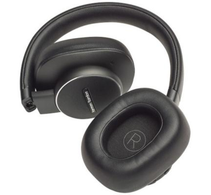 Наушники Harman Kardon Fly ANC Black (HKFLYANCBLK)