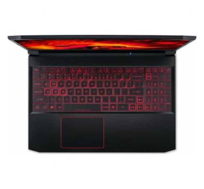 Ноутбук Acer Nitro 5 AN515-55 (NH.QB2EU.008)