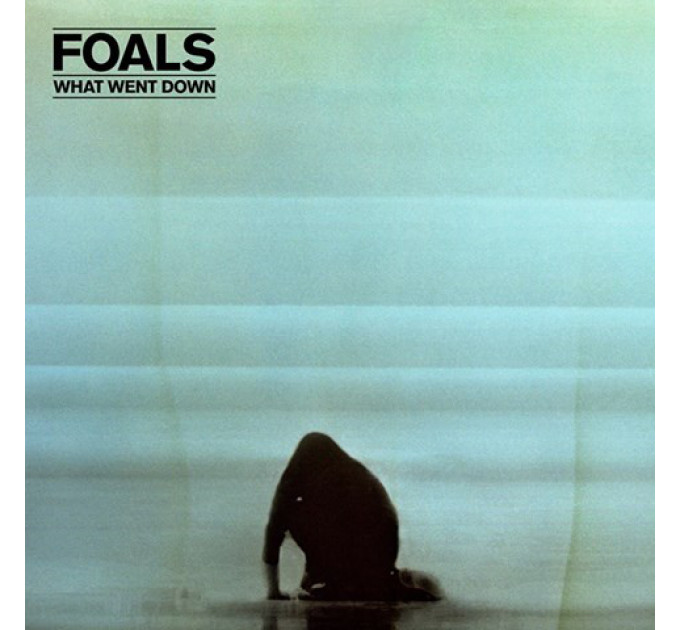 Foals ‎– What Went Down [LP]