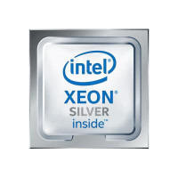 Процессор серверный INTEL Xeon Silver 4210R 10C/20T/2.40GHz/13.75MB/FCLGA3647/TRAY (CD8069504344500)