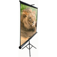 Проекционный экран T119NWS1 Elite Screens