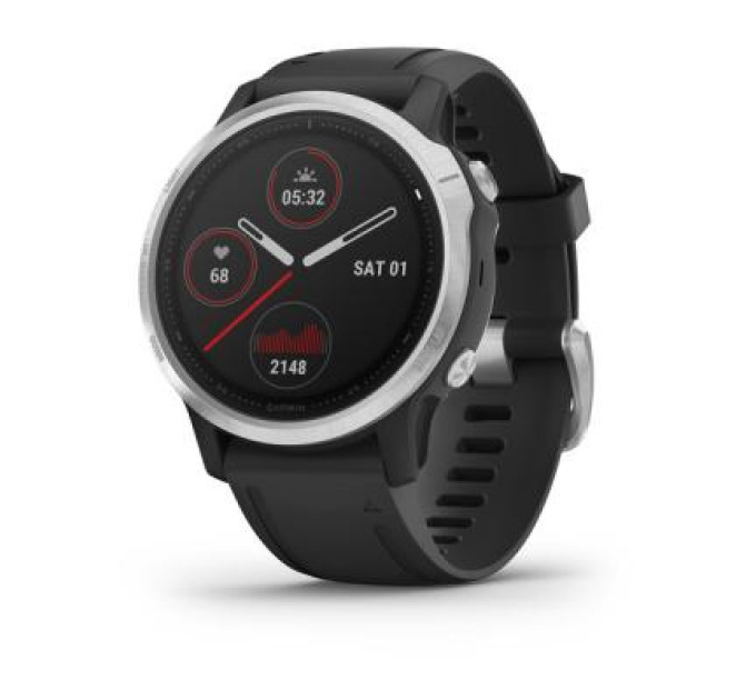 Смарт-часы Garmin Fenix 6S Silver with Black Band (010-02159-01)