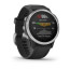 Смарт-часы Garmin Fenix 6S Silver with Black Band (010-02159-01)