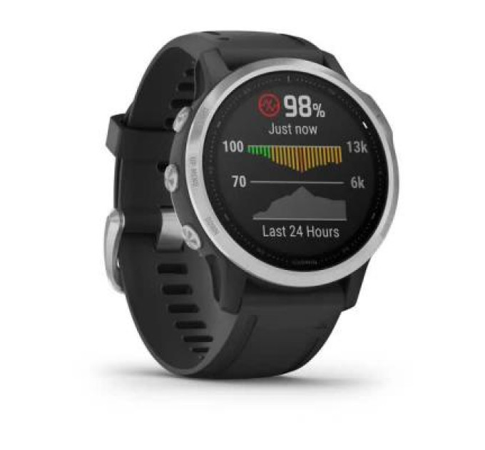 Смарт-часы Garmin Fenix 6S Silver with Black Band (010-02159-01)