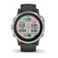 Смарт-часы Garmin Fenix 6S Silver with Black Band (010-02159-01)