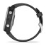 Смарт-часы Garmin Fenix 6S Silver with Black Band (010-02159-01)