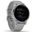 Смарт-часы Garmin vivoactive 4S, Powder Gray/Silver (010-02172-03)