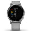 Смарт-часы Garmin vivoactive 4S, Powder Gray/Silver (010-02172-03)